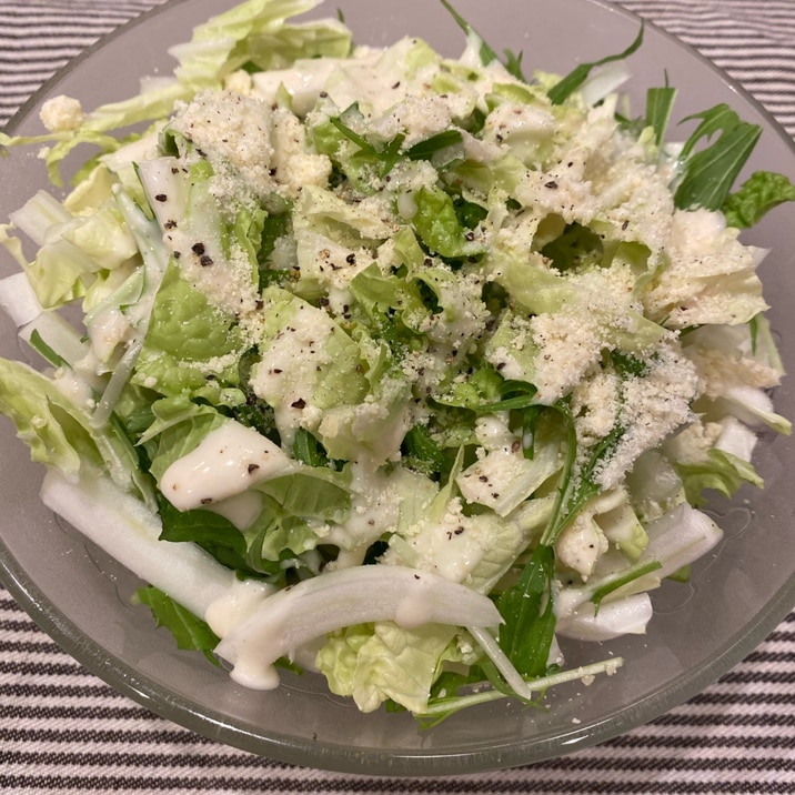 生白菜のシーザーサラダ